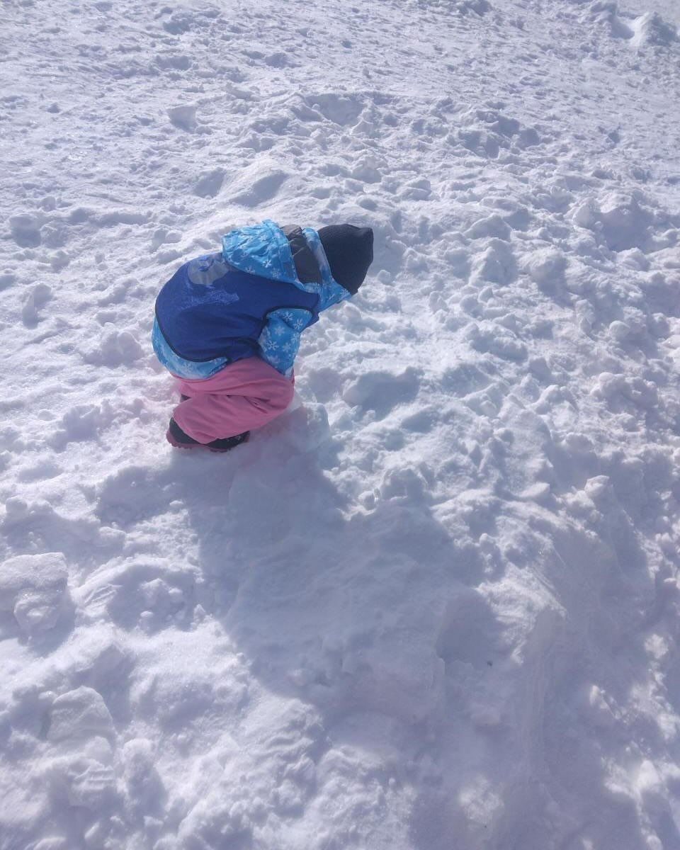 今日は雪遊びコースがありました