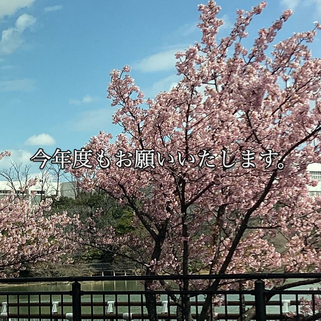 新年度がスタートしました
