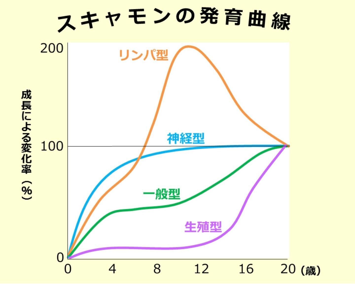 スキャモンの発育曲線はご存知ですか？