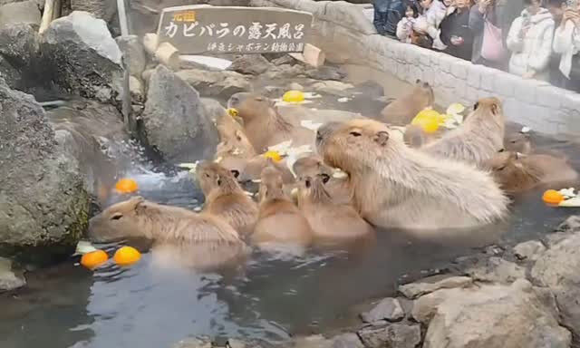 1週間お疲れ様でした