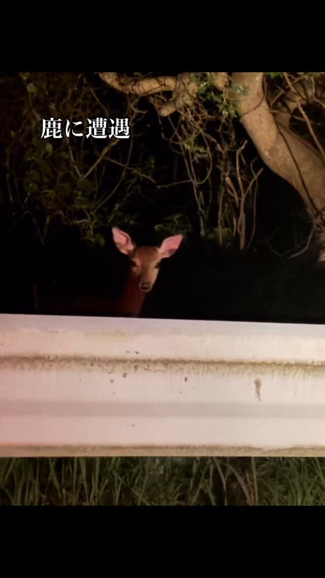 先日、野外活動のサポートを目的に、20年ぶりに指導者としてセ