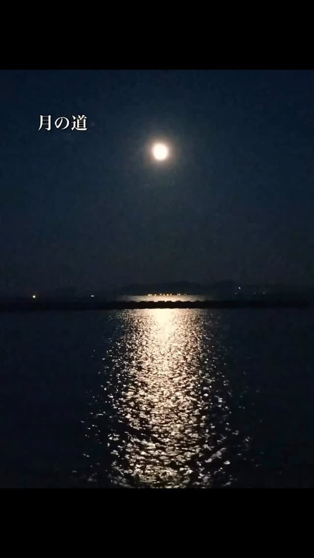満月の夜にだけ現れる「月の道」は、一瞬の夢のような神秘的な光