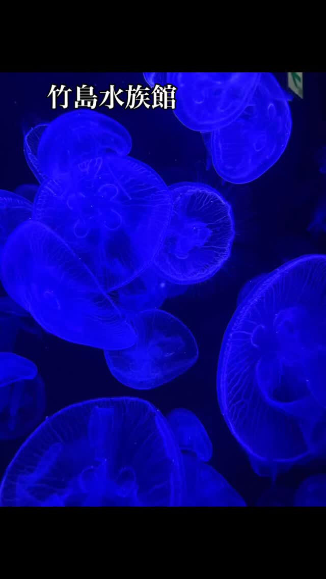 先生の夏休み紹介
