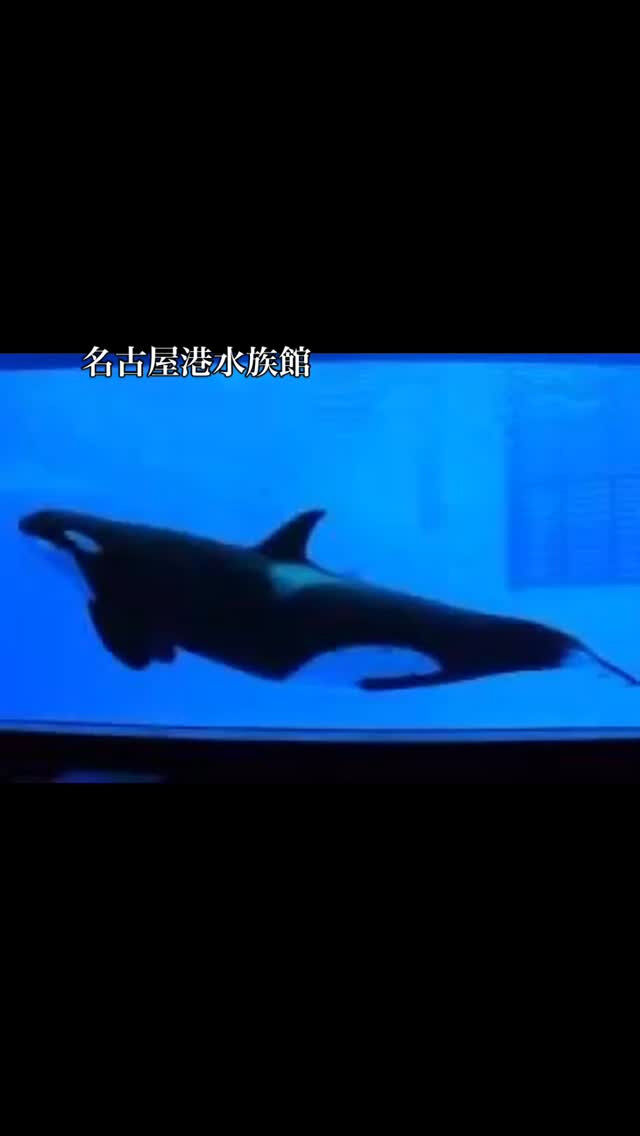 先生の夏休み紹介