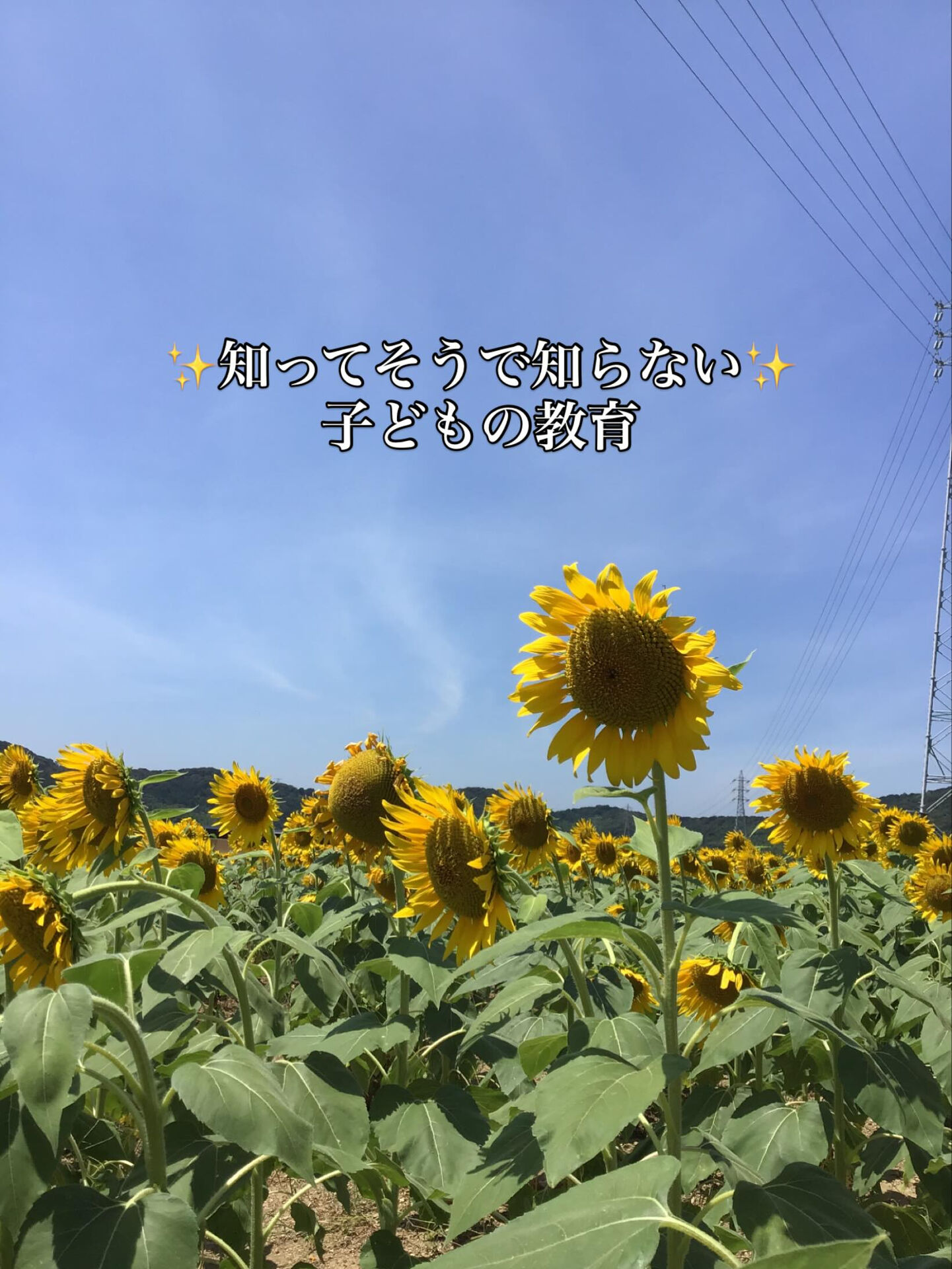 ぜひ育児の参考にしてください