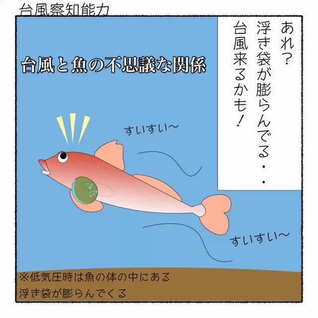 〜ファミリ自然の学び〜