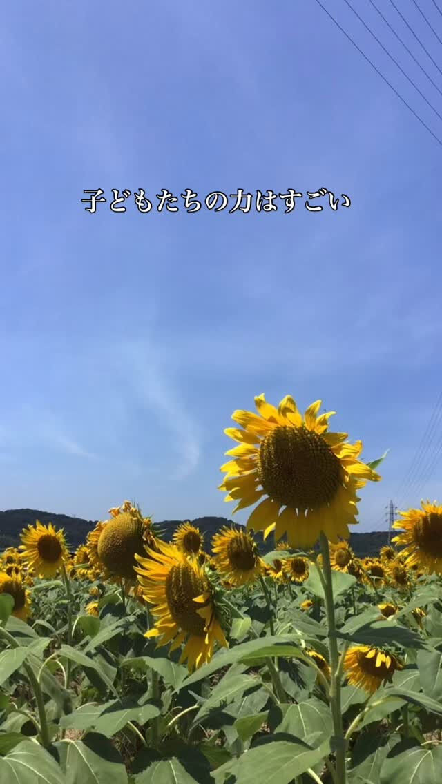運動会で感動しました！