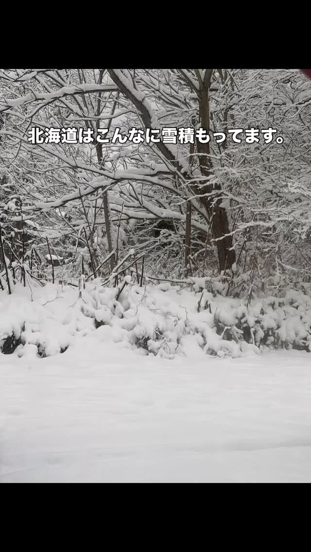 北海道便り