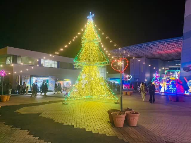 クリスマスまであと８日