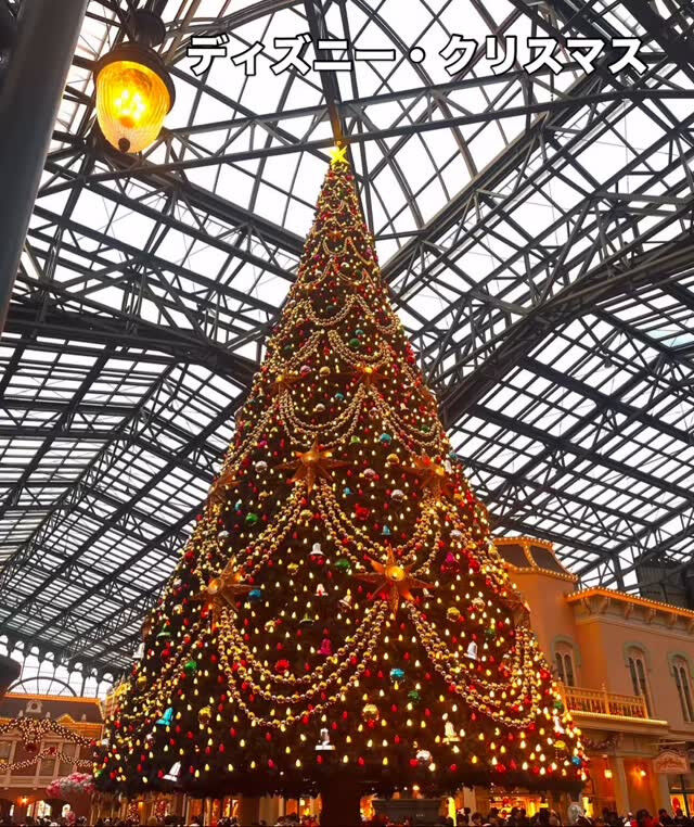 クリスマスまであと６日