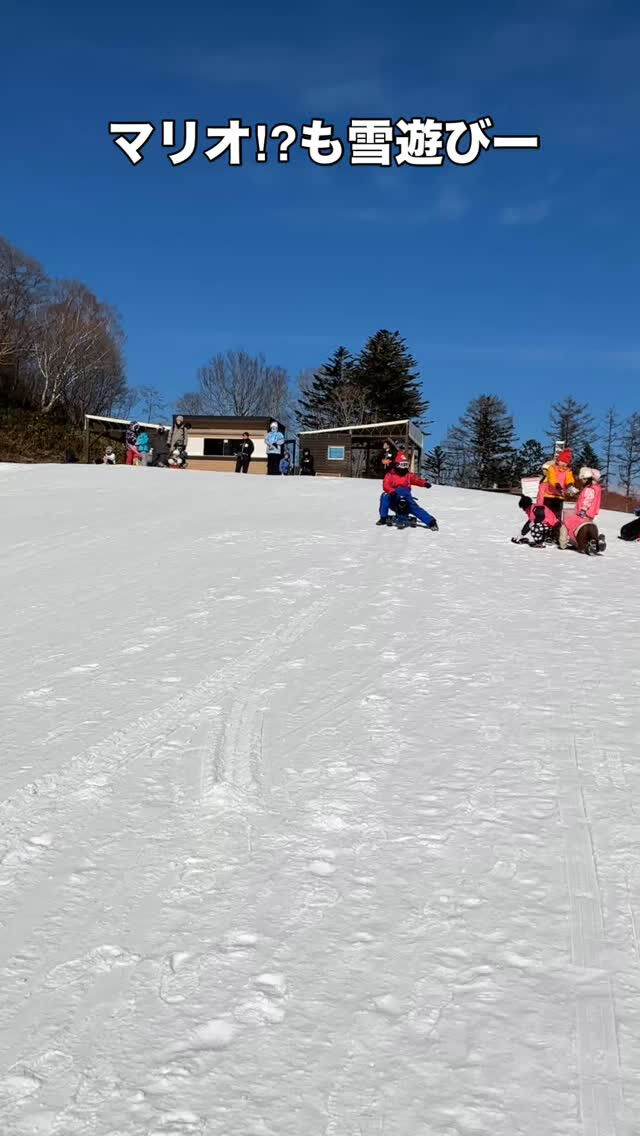 みんなの大好きなマリオ⁉︎ も雪遊び楽しんでます！