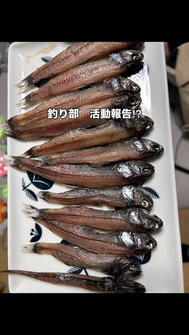 釣り部活動報告！
