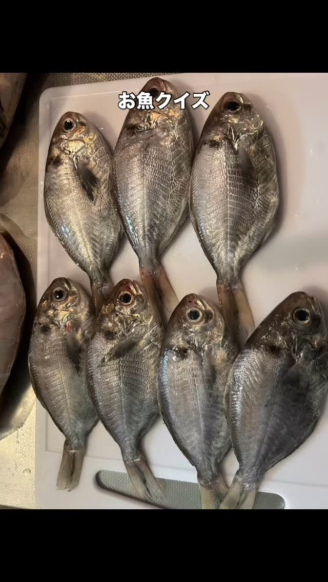 🎣釣り部 活動報告🎣
