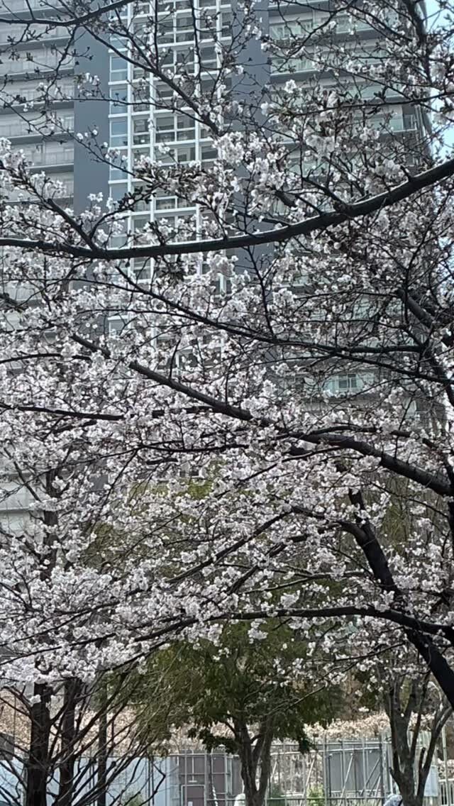 こんな言葉があります
