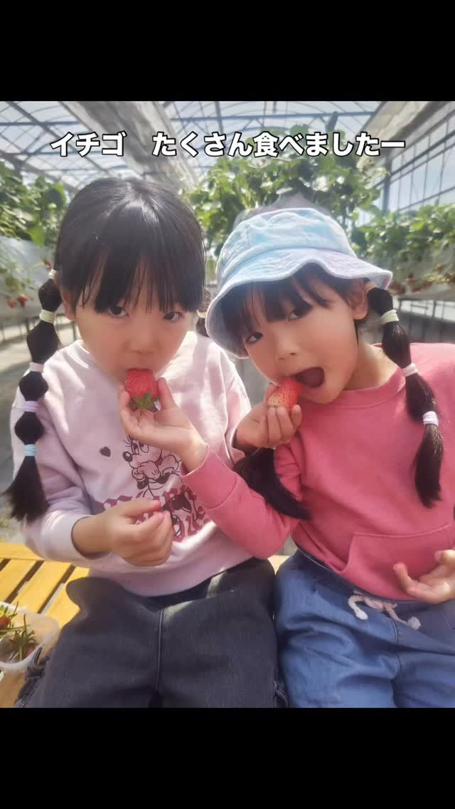 イチゴハイキングに行きました🍓