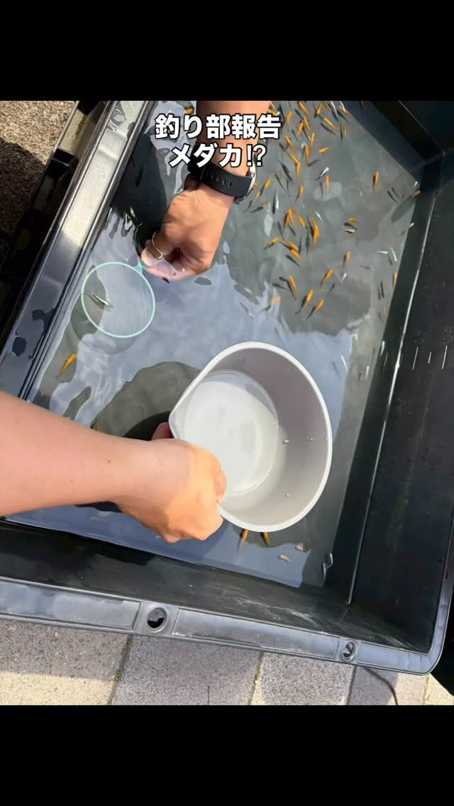 🎣釣り部活動報告🎣