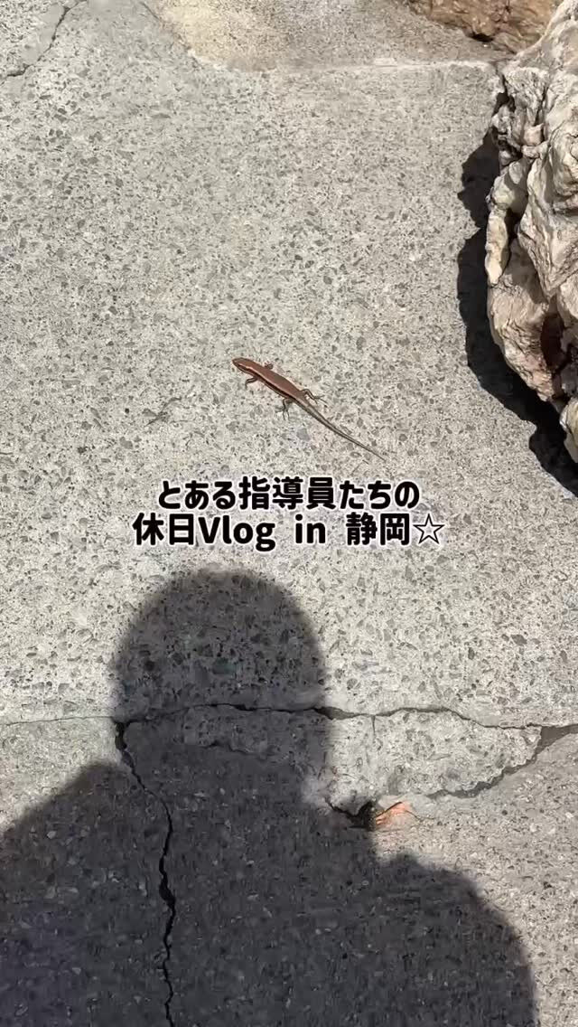 とある指導員たちの休日Vlog🌞
